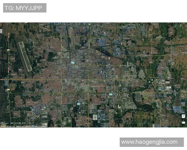 武汉乒乓球队防守战术解析与实战应用全景观察