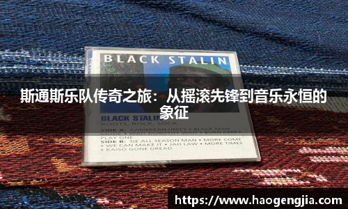 斯通斯乐队传奇之旅：从摇滚先锋到音乐永恒的象征